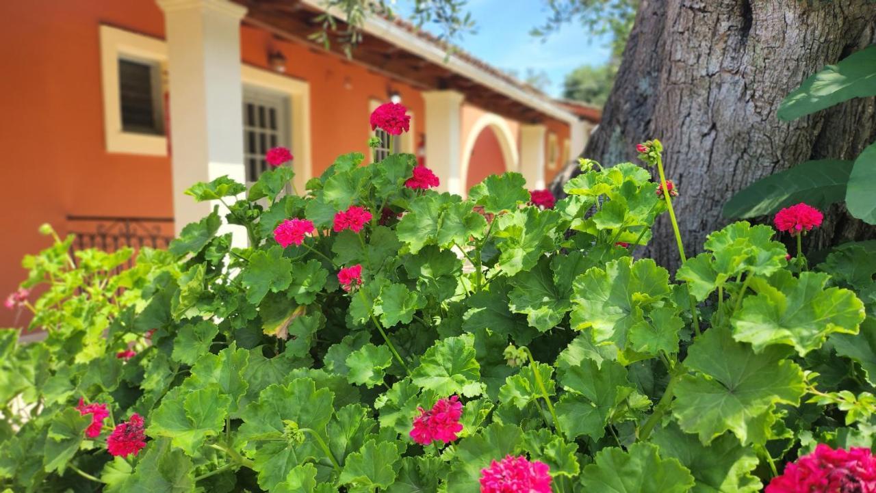 Aristea Studios Kato Korakiana Exterior foto